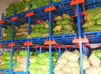 保障蔬菜品质 冷库建设需合理性、安全性